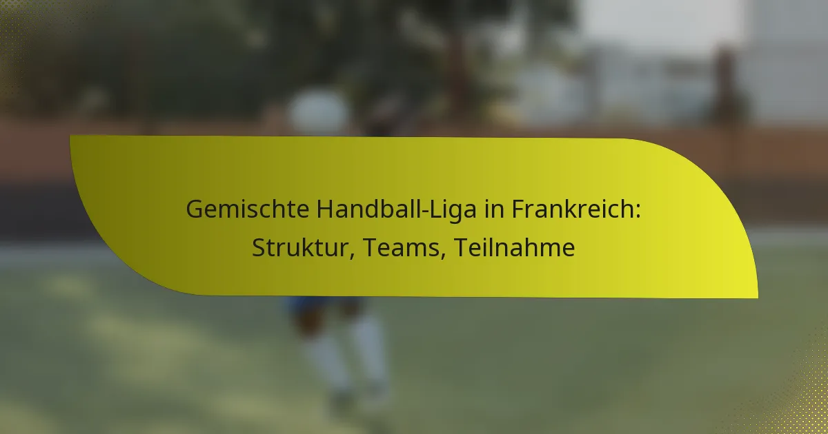 Gemischte Handball-Liga in Frankreich: Struktur, Teams, Teilnahme