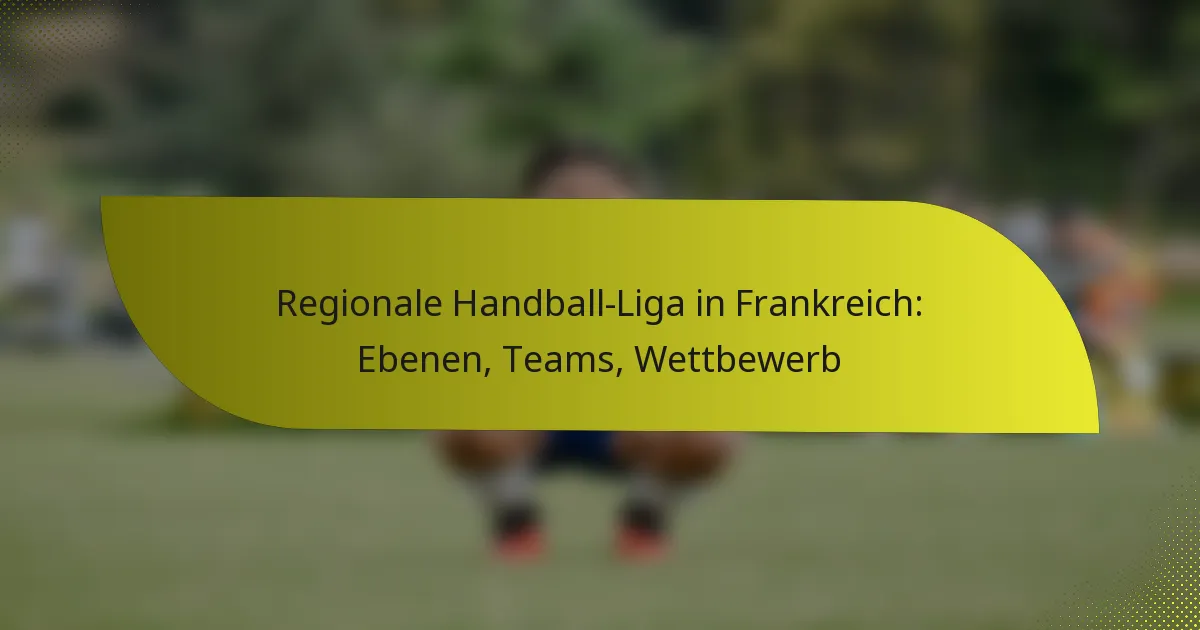 Regionale Handball-Liga in Frankreich: Ebenen, Teams, Wettbewerb