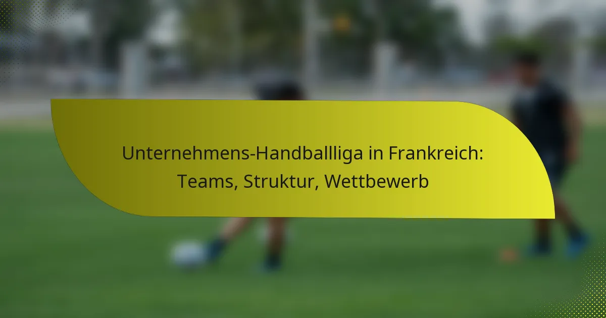 Unternehmens-Handballliga in Frankreich: Teams, Struktur, Wettbewerb
