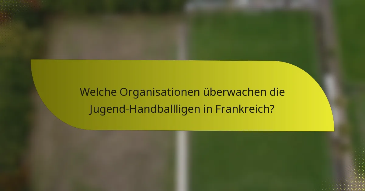Welche Organisationen überwachen die Jugend-Handballligen in Frankreich?