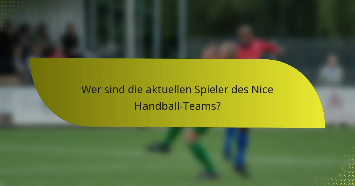 Wer sind die aktuellen Spieler des Nice Handball-Teams?