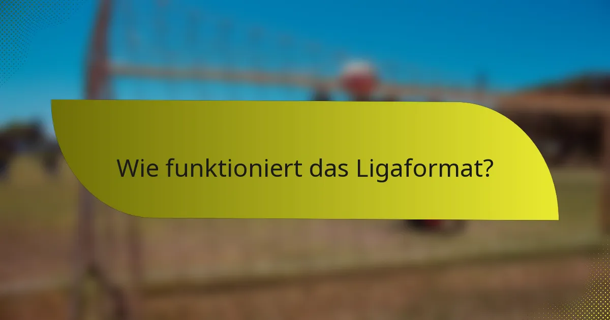 Wie funktioniert das Ligaformat?