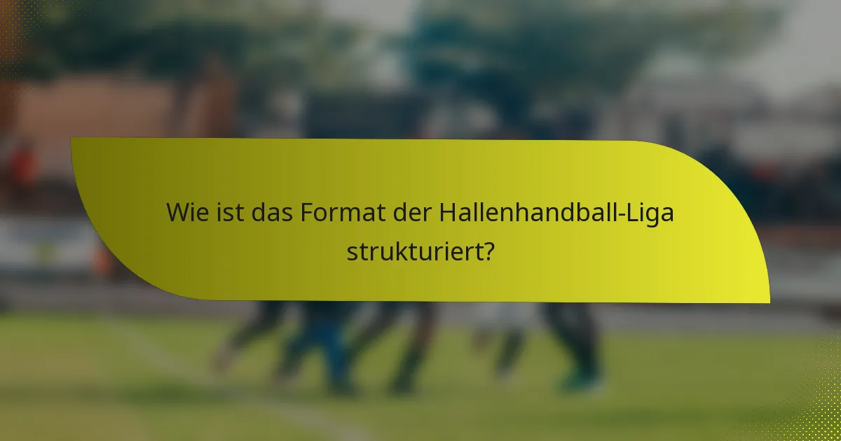 Wie ist das Format der Hallenhandball-Liga strukturiert?