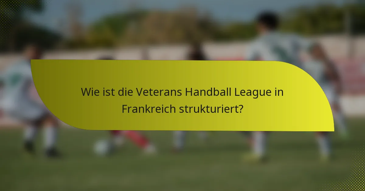 Wie ist die Veterans Handball League in Frankreich strukturiert?