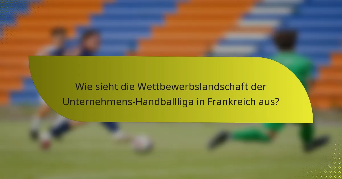 Wie sieht die Wettbewerbslandschaft der Unternehmens-Handballliga in Frankreich aus?