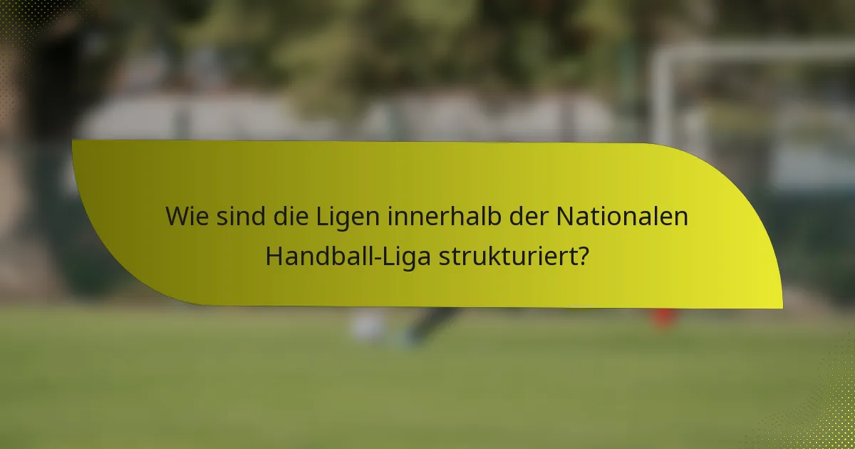 Wie sind die Ligen innerhalb der Nationalen Handball-Liga strukturiert?